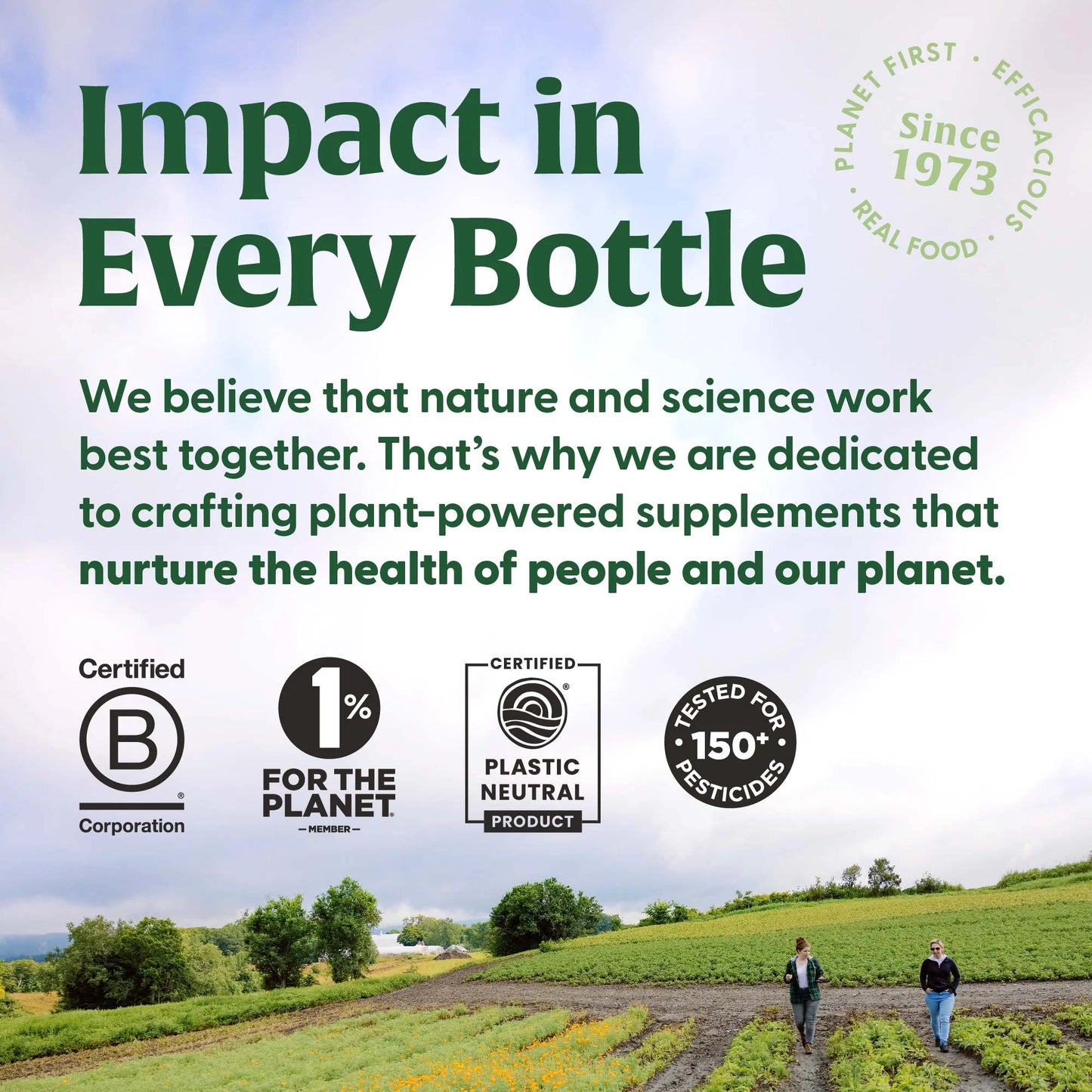 MEGAFOOD · Superfood Mushroom Energy