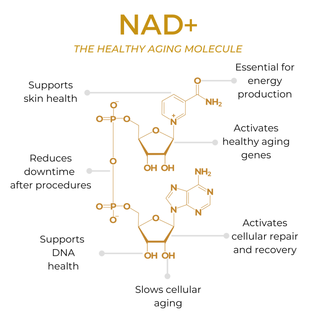 NAD+ (100mg) Specialty Package - 3 Sessions