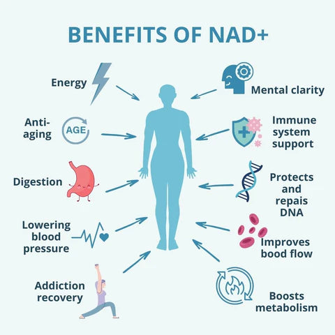 NAD+ (Nicotinamide Adenine Dinucleotide) 50mg